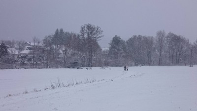 gaaden2_14012018.jpg