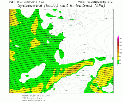 Rhgfs3315.gif